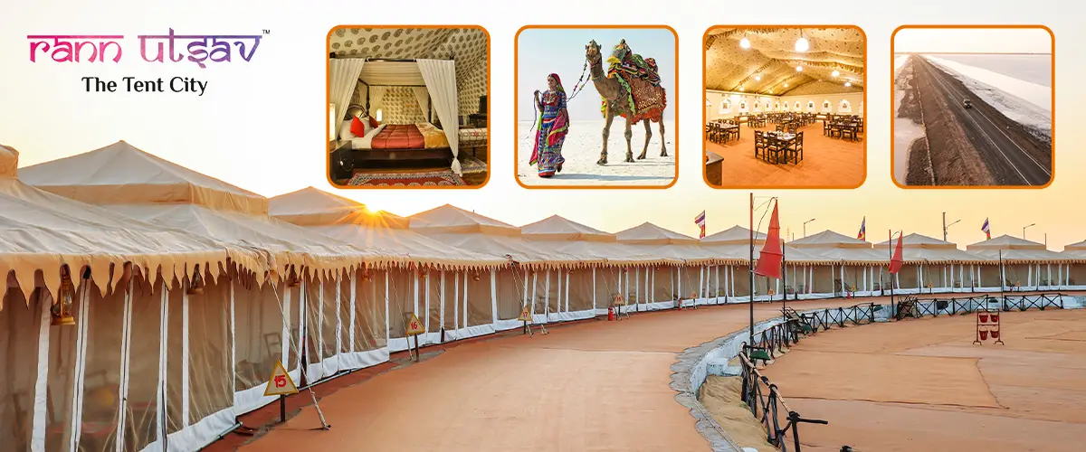 How Much Does a Rann Utsav Trip Really Cost
